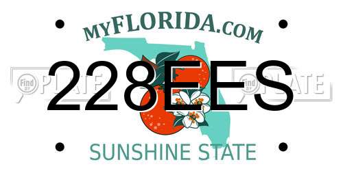 228EES Florida License Plate