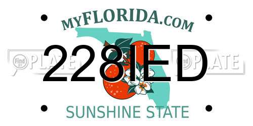 228IED Florida License Plate