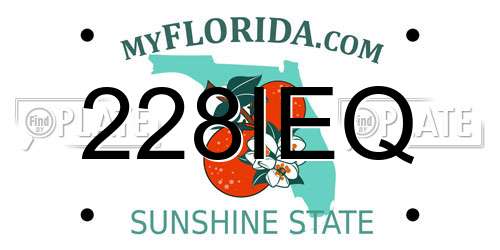 228IEQ Florida License Plate
