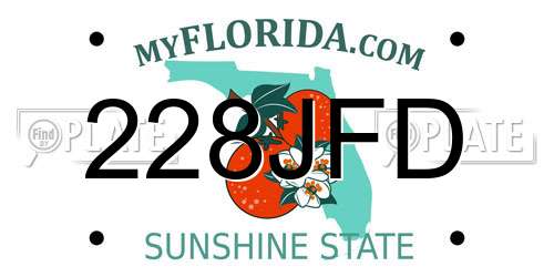 228JFD Florida License Plate