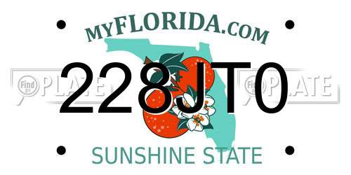 228JT0 Florida License Plate
