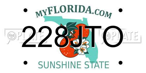 228JTO Florida License Plate