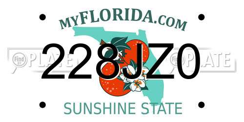 228JZ0 Florida License Plate