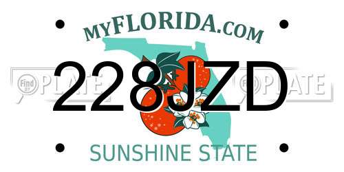 228JZD Florida License Plate