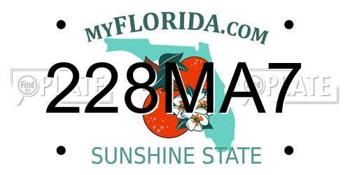 228MA7 Florida License Plate
