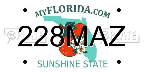 228MAZ Florida License Plate