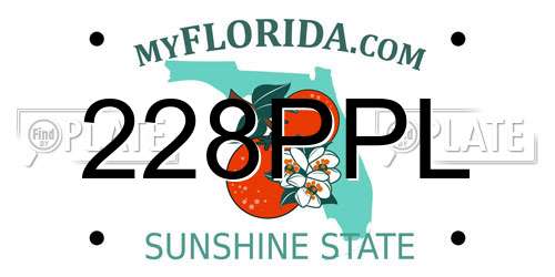228PPL Florida License Plate