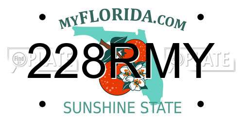 228RMY Florida License Plate