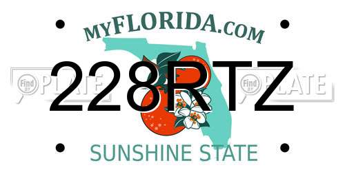 228RTZ Florida License Plate