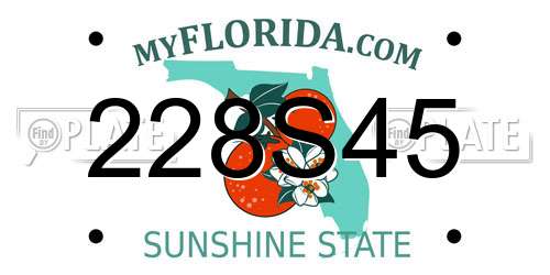 228S45 Florida License Plate