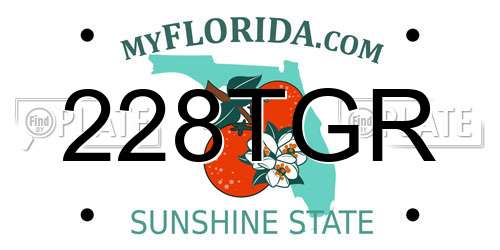 228TGR Florida License Plate