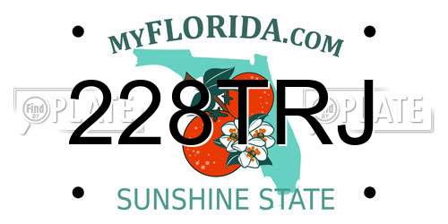 228TRJ Florida License Plate