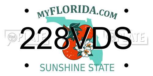 228VDS Florida License Plate