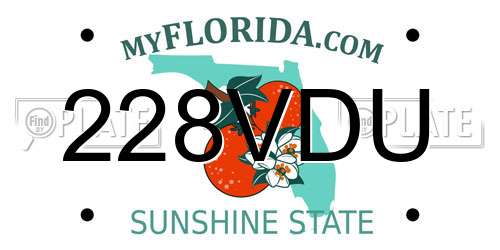 228VDU Florida License Plate