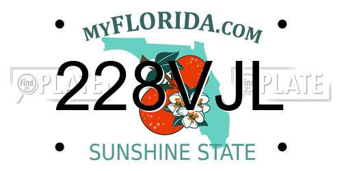 228VJL Florida License Plate