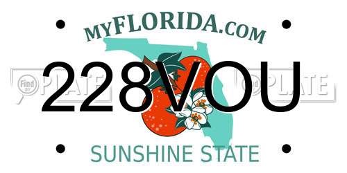 228VOU Florida License Plate