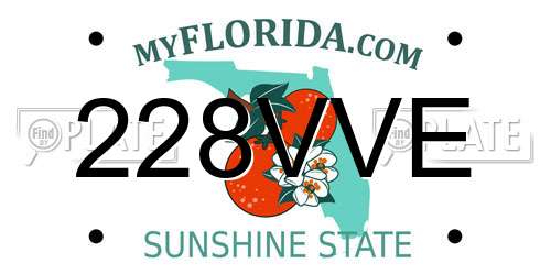 228VVE Florida License Plate