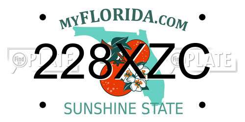 228XZC Florida License Plate