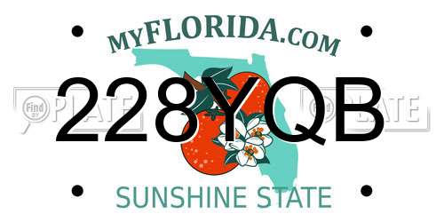 228YQB Florida License Plate