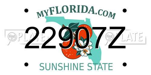 22907Z Florida License Plate