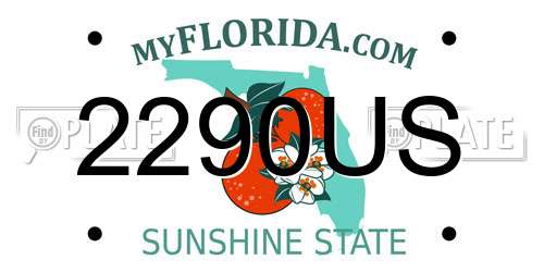 2290US Florida License Plate