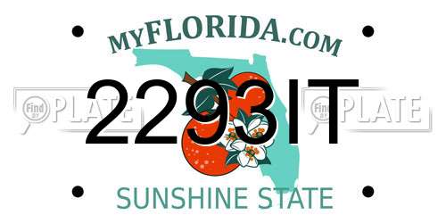 2293IT Florida License Plate