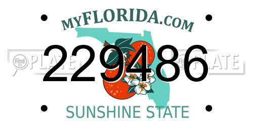 229486 Florida License Plate