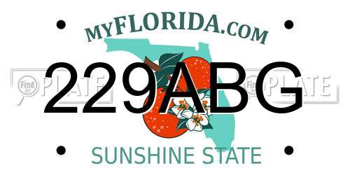 229ABG Florida License Plate