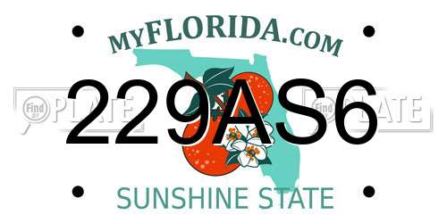 229AS6 Florida License Plate