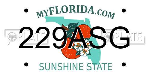 229ASG Florida License Plate