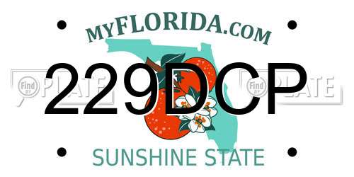 229DCP Florida License Plate