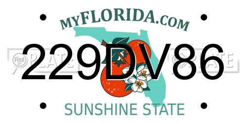 229DV86 Florida License Plate