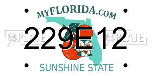 229E12 Florida License Plate