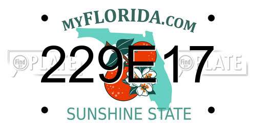 229E17 Florida License Plate