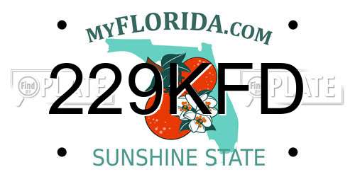 229KFD Florida License Plate
