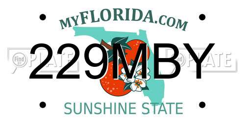 229MBY Florida License Plate