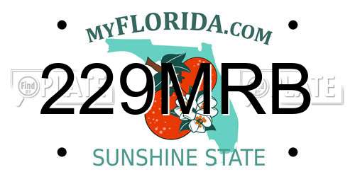 229MRB Florida License Plate