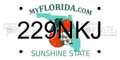 229NKJ Florida License Plate