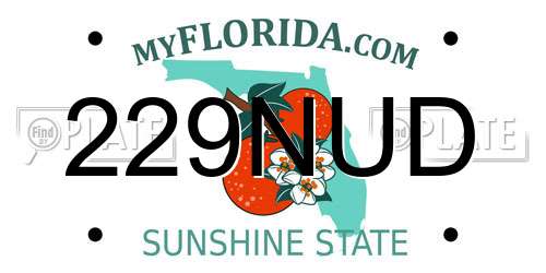 229NUD Florida License Plate