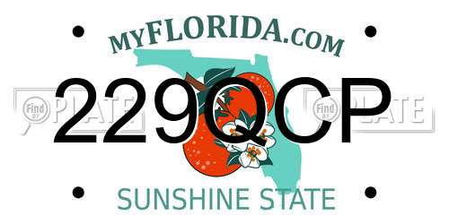 229QCP Florida License Plate