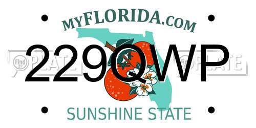 229QWP Florida License Plate