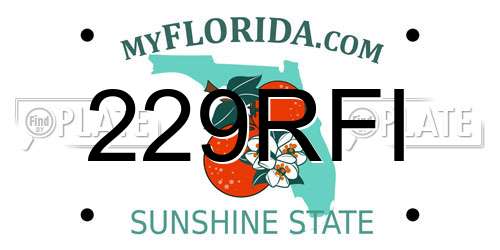 229RFI Florida License Plate