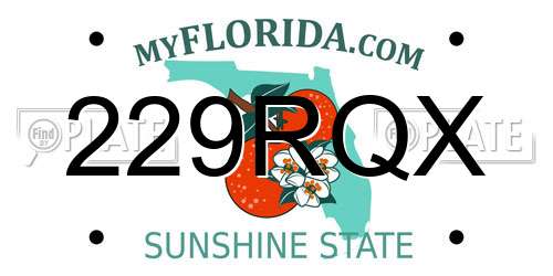 229RQX Florida License Plate