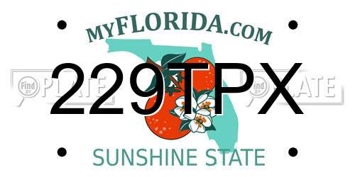 229TPX Florida License Plate