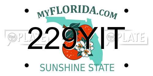 229YIT Florida License Plate