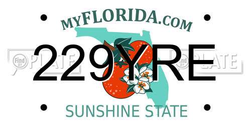 229YRE Florida License Plate