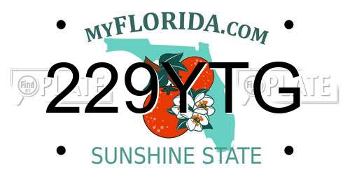 229YTG Florida License Plate