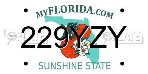 229YZY Florida License Plate