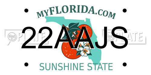 22AAJS Florida License Plate