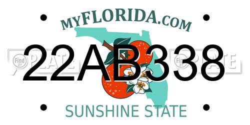 22AB338 Florida License Plate